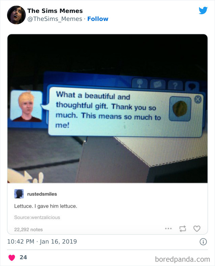 The Sims Memes