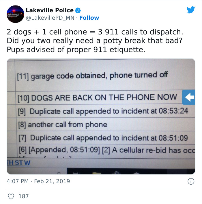 Two Dogs Managed To Call The Police 16 Times In 30 Minutes, And The Internet Is In Stitches - 4