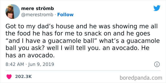 Tweet about someone humorously calling an avocado a "guacamole ball."