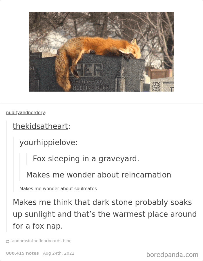 Interesting-Lighter-Side-Of-Science-Pictures