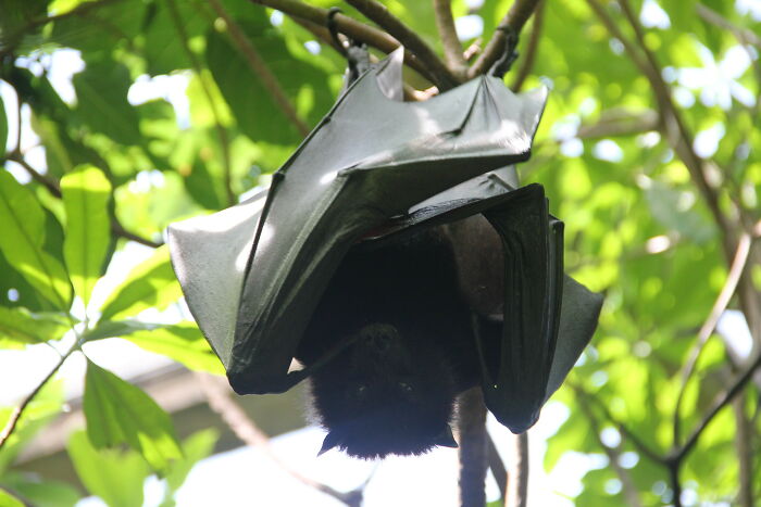 30 Times Thrift Store Workers And Clients Were So Stunned By Interesting Finds, They Just Had To Share Them Online - 16