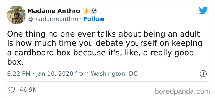 Trying-To-Be-More-Adult-Adulting