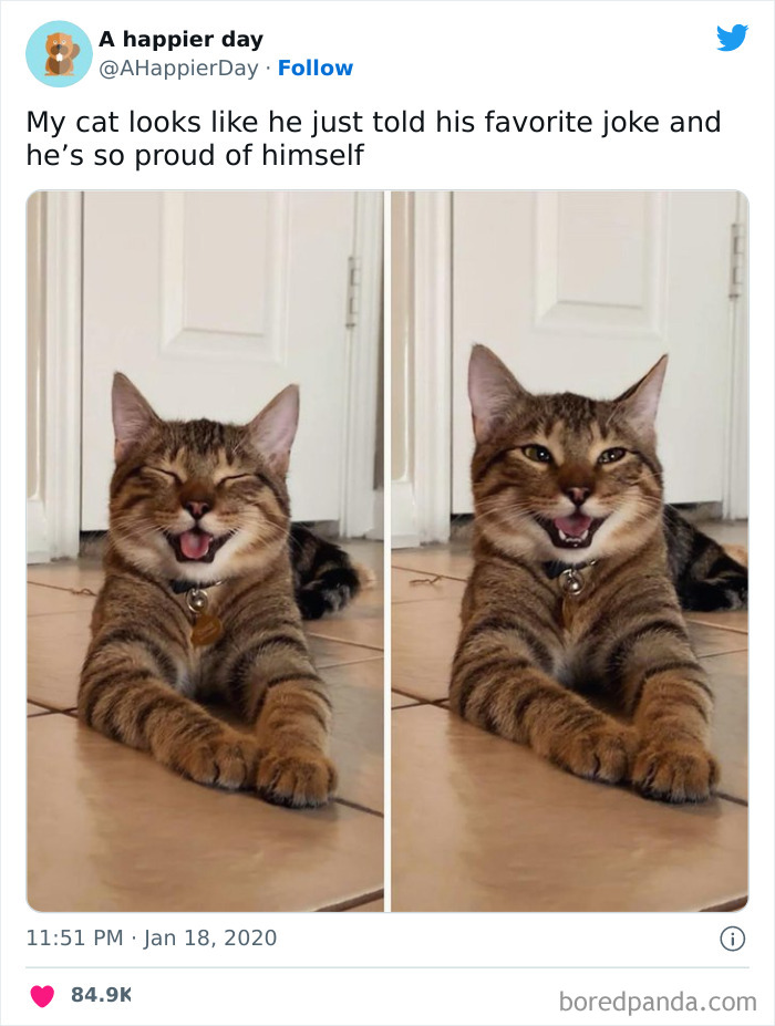 I Would Love To Know What The Joke Was