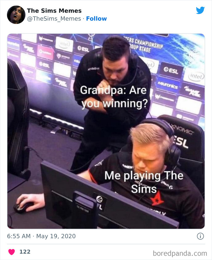 The Sims Memes