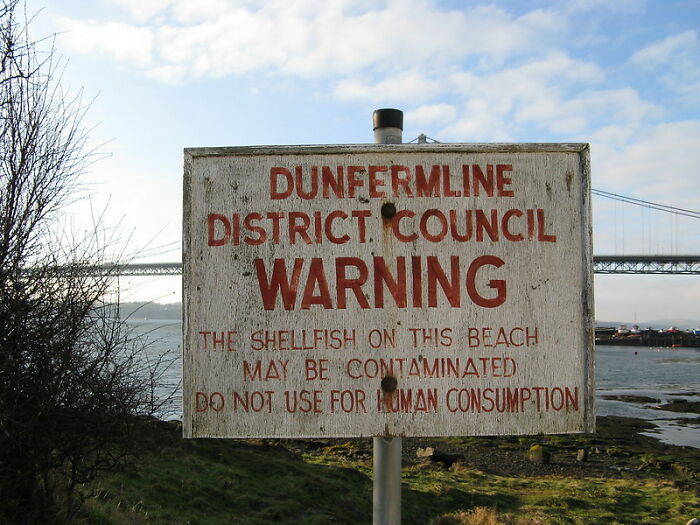 30 Things Science Hasn’t Proven Yet But Folks In This Online Group Have A Hunch Are True Anyway - 12