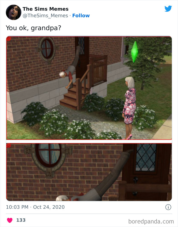 The Sims Memes