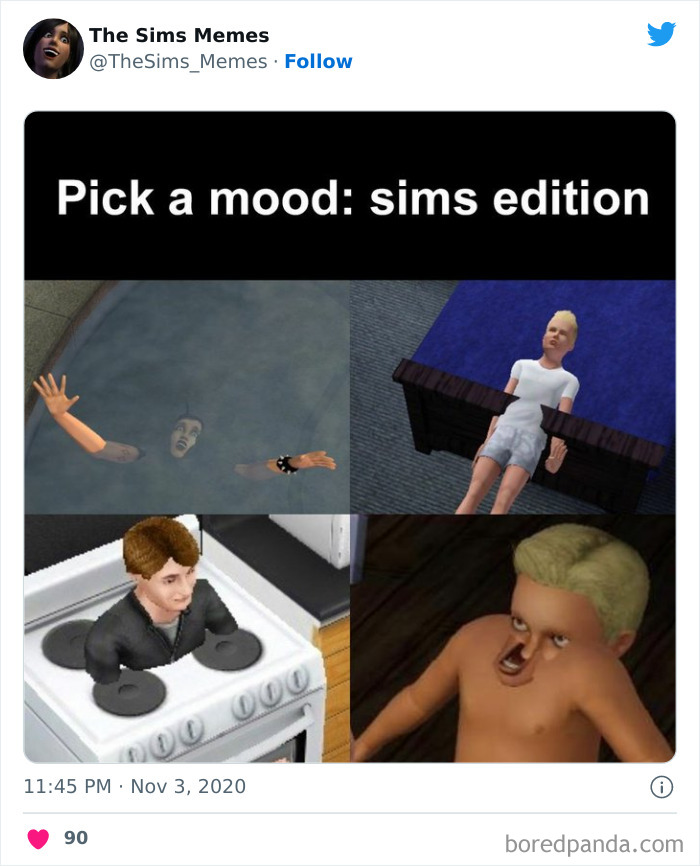 The Sims Memes