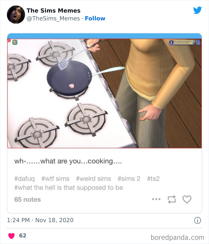 The Sims Memes