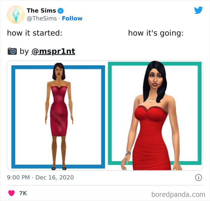 The Sims Memes