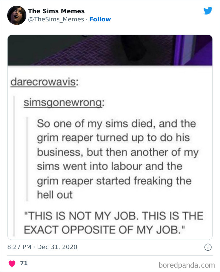 The Sims Memes