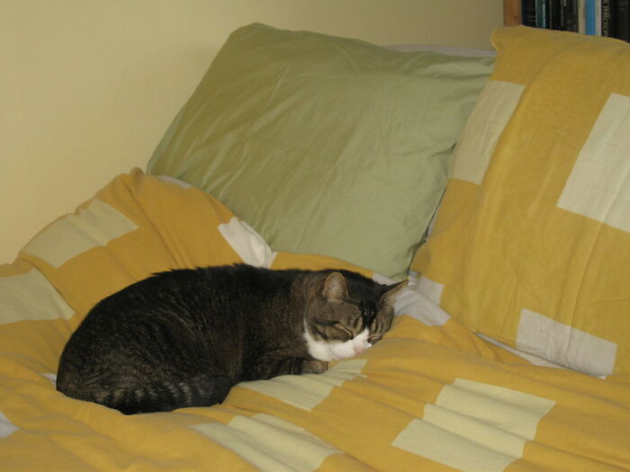 Woman Who Moved From A Small Norwegian Town To LA Lists 16 American Things She Finds Weird