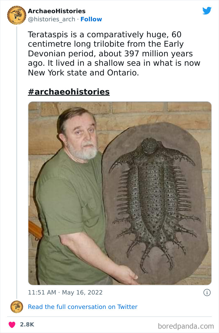 Archaeology-Archaeohistories