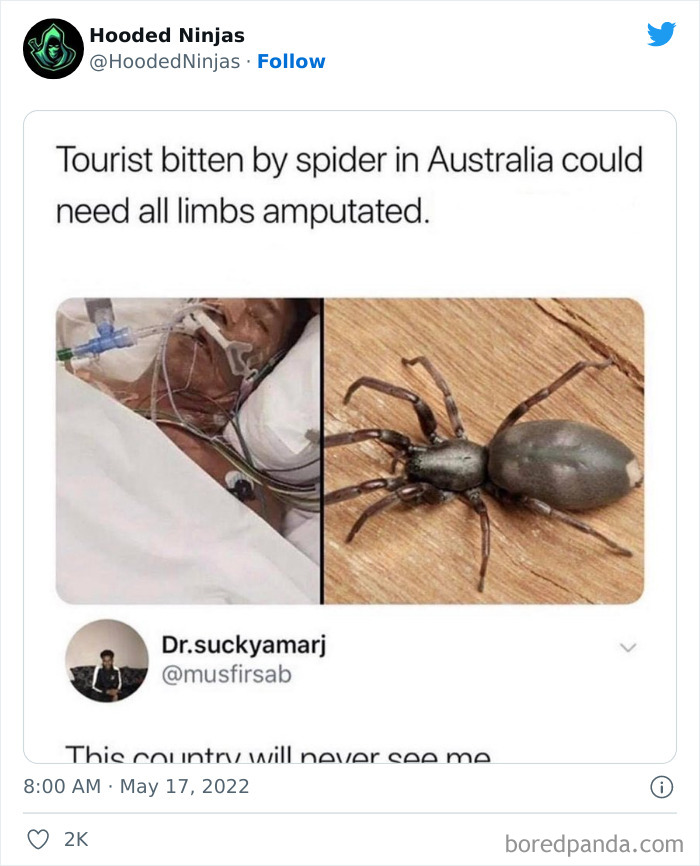 Crazy-Internet-Headlines