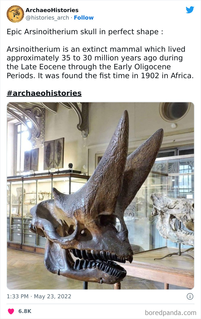 Archaeology-Archaeohistories