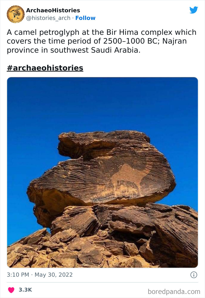 Archaeology-Archaeohistories