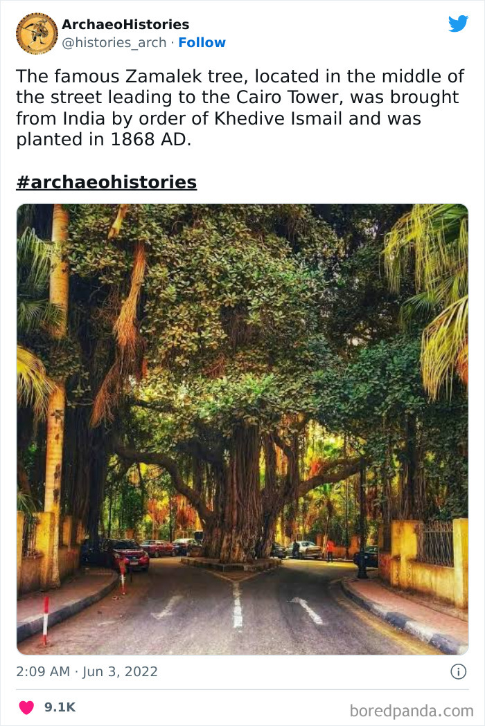 Archaeology-Archaeohistories