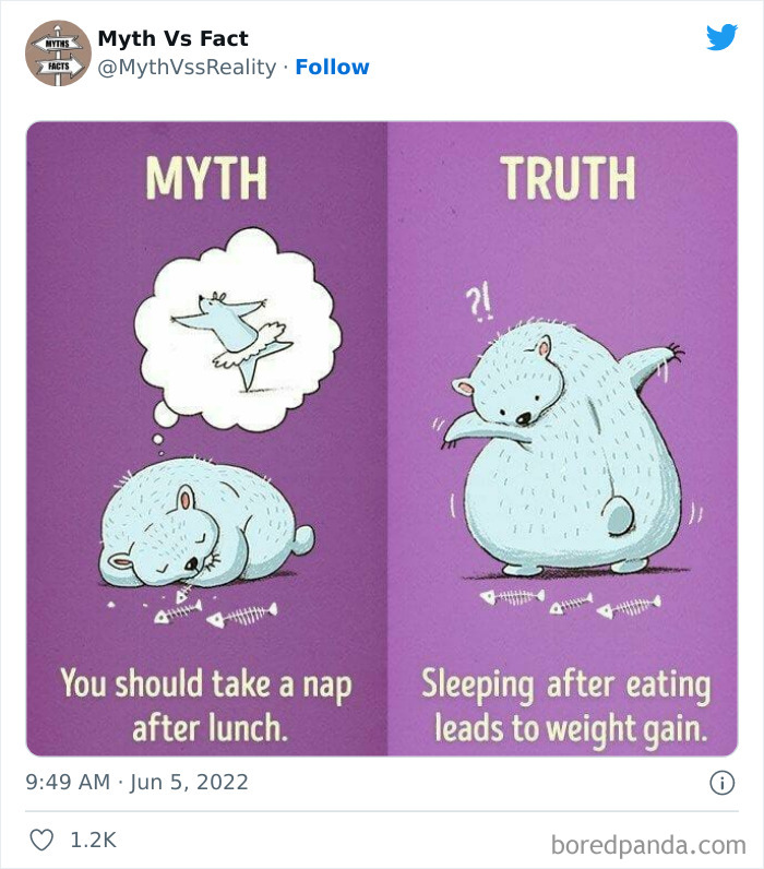 Myths-vs.-Facts