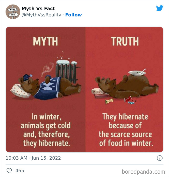 Myths-vs.-Facts