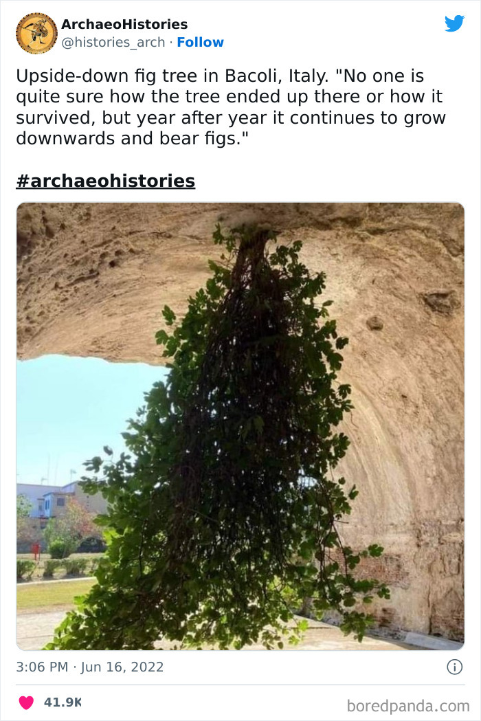 Archaeology-Archaeohistories