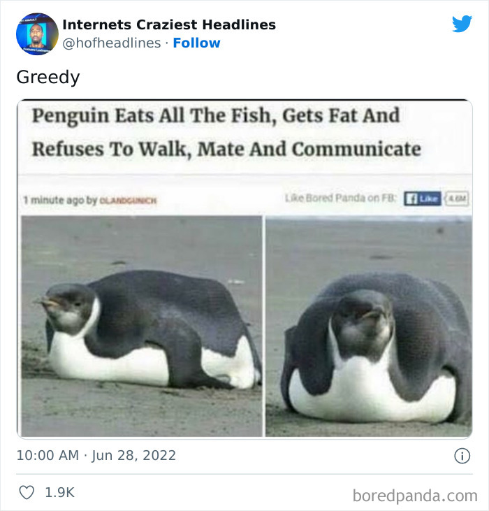 Crazy-Internet-Headlines