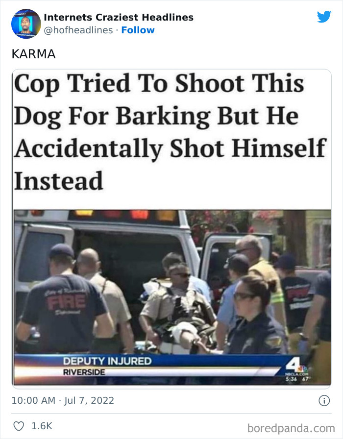 Crazy-Internet-Headlines