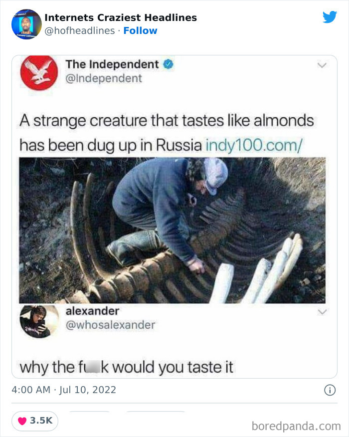 Crazy-Internet-Headlines