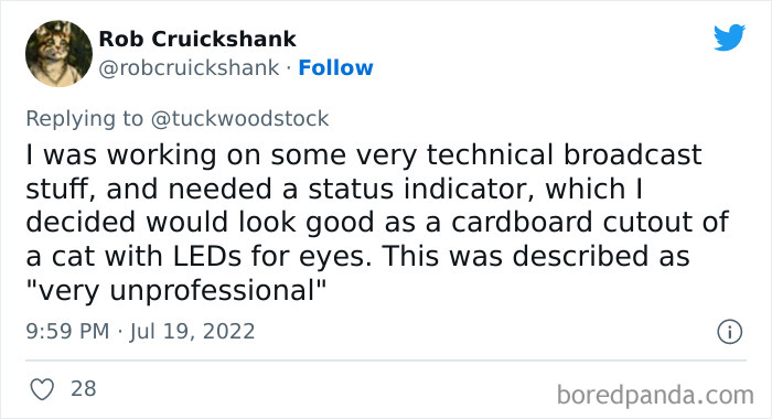 Wild-Reasons-Trouble-At-Work