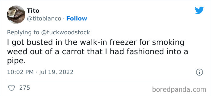 Wild-Reasons-Trouble-At-Work