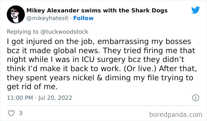 Wild-Reasons-Trouble-At-Work