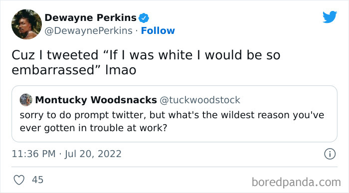 Wild-Reasons-Trouble-At-Work