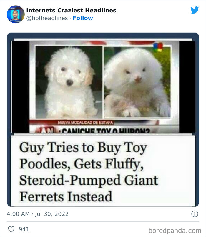 Crazy-Internet-Headlines