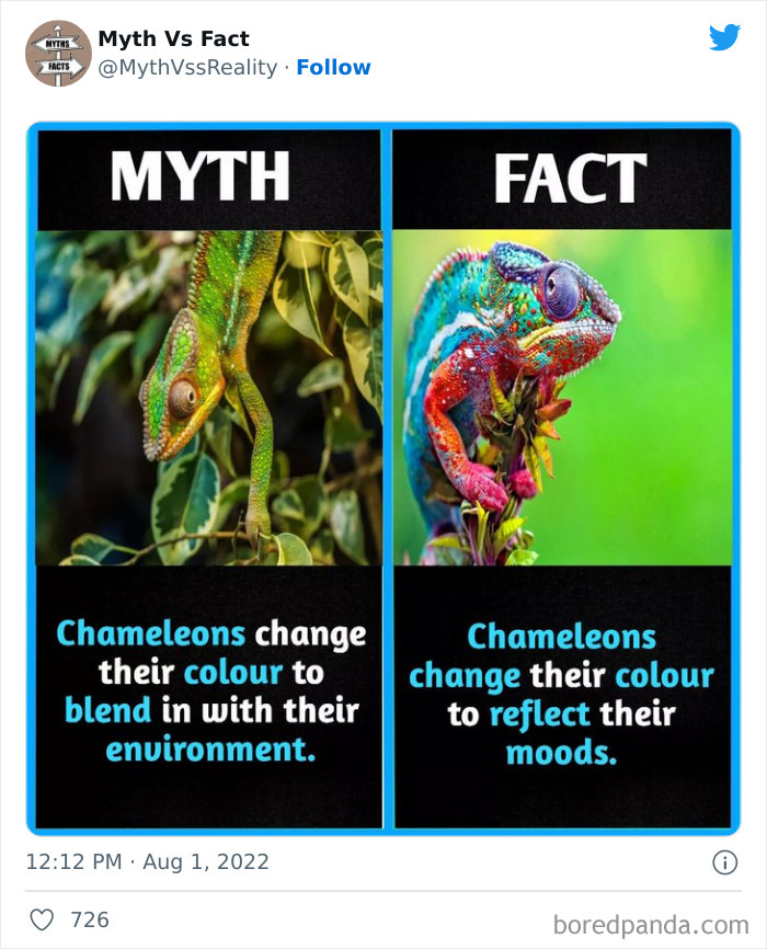 Myths-vs.-Facts