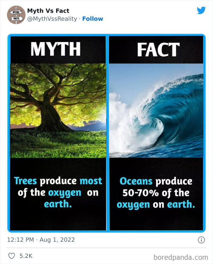 Myths-vs.-Facts