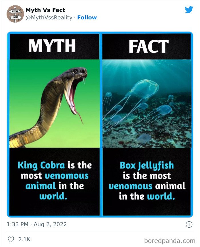 Myths-vs.-Facts