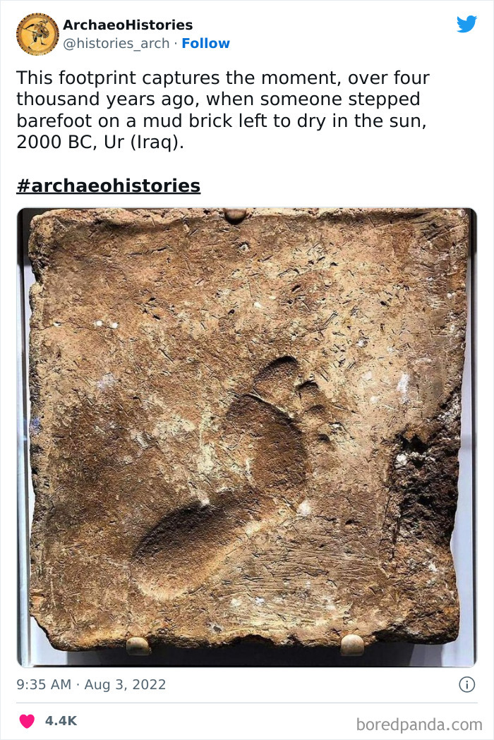 Archaeology-Archaeohistories