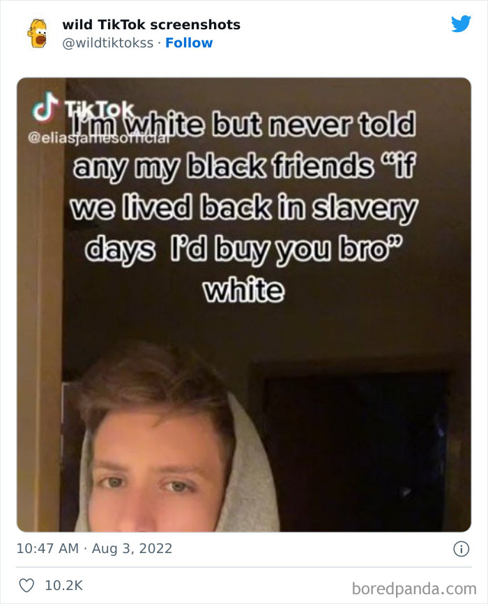 Wild-Tiktoks-Screenshots