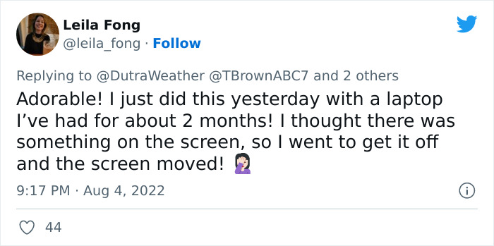 Weatherman Stunned To Discover His TV Is A Touch Screen, And The Internet Can’t Get Enough Weatherman Stunned To Discover His TV Is A Touch Screen, And The Internet Can’t Get Enough