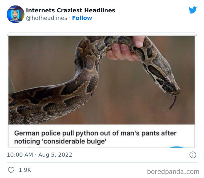 Crazy-Internet-Headlines