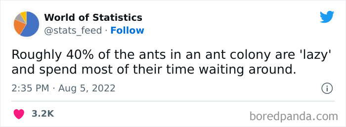 Various-Interesting-Statistics