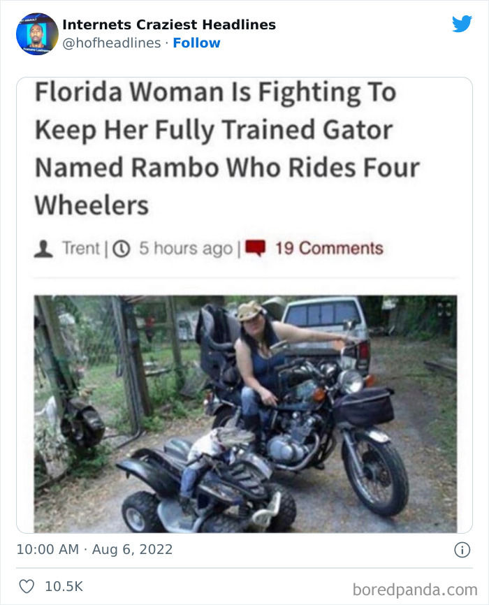 Crazy-Internet-Headlines