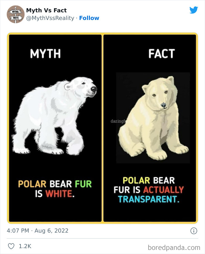Myths-vs.-Facts