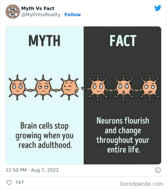 Myths-vs.-Facts