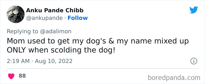 People-Thought-They-Were-Talked-To-But-It-Was-Pets