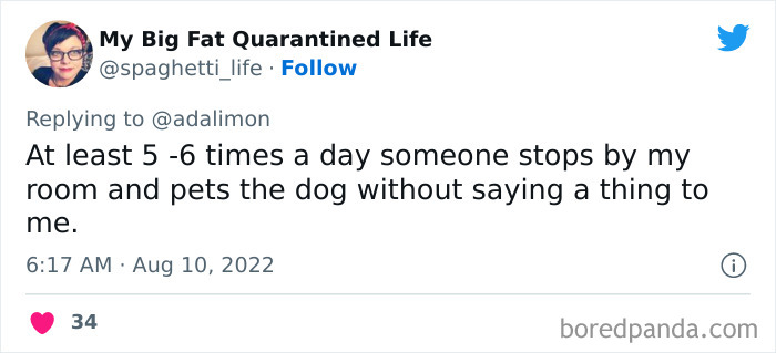 People-Thought-They-Were-Talked-To-But-It-Was-Pets