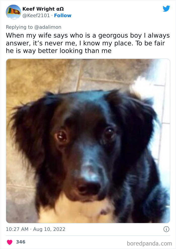 People-Thought-They-Were-Talked-To-But-It-Was-Pets