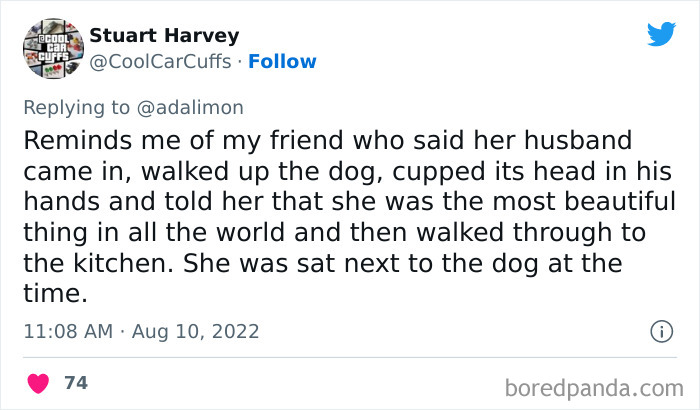 People-Thought-They-Were-Talked-To-But-It-Was-Pets