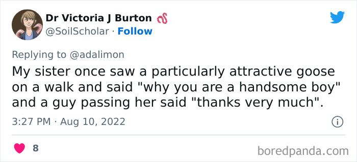 People-Thought-They-Were-Talked-To-But-It-Was-Pets