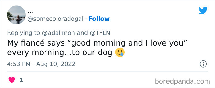 People-Thought-They-Were-Talked-To-But-It-Was-Pets