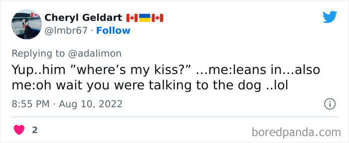 People-Thought-They-Were-Talked-To-But-It-Was-Pets