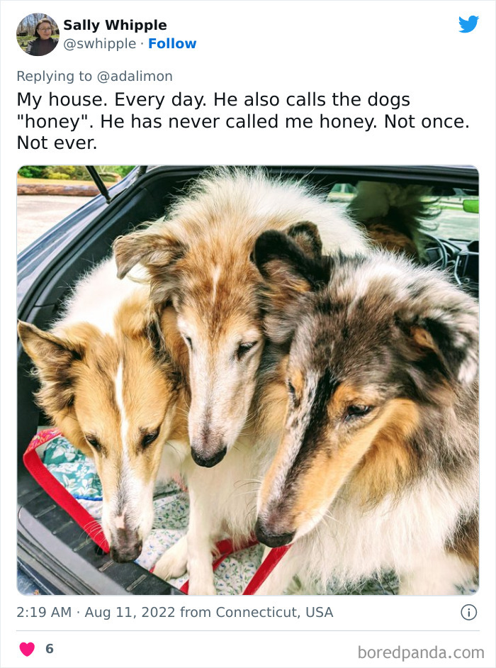 People-Thought-They-Were-Talked-To-But-It-Was-Pets